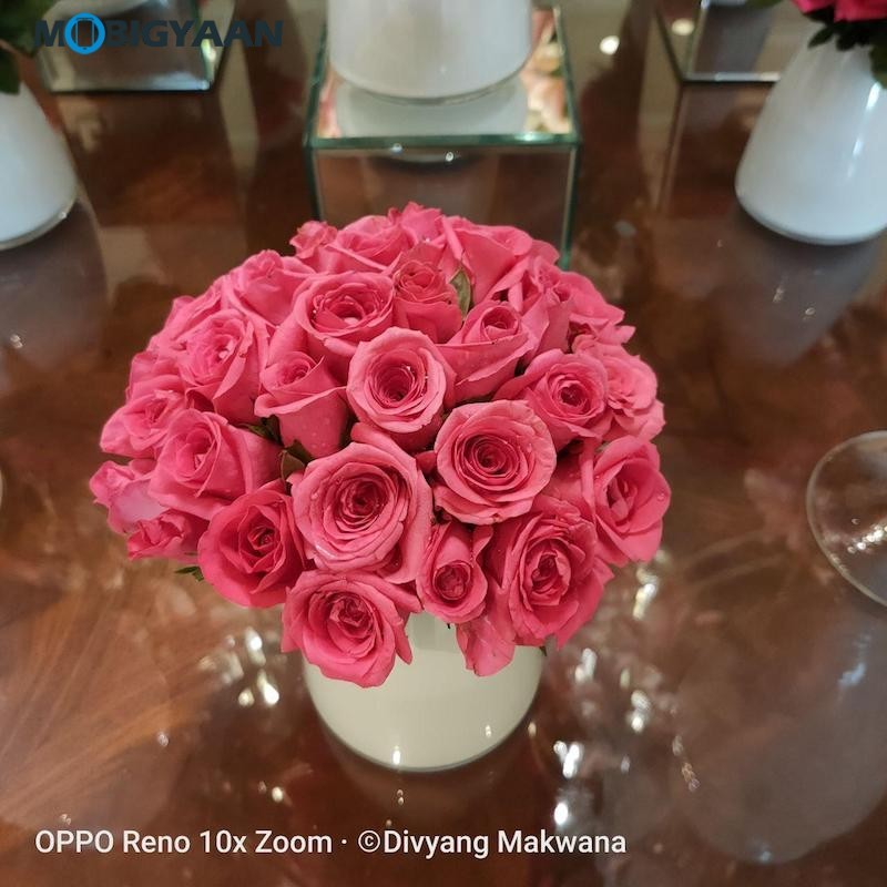 OPPO Reno 10X Zoom Review Camera Samples39