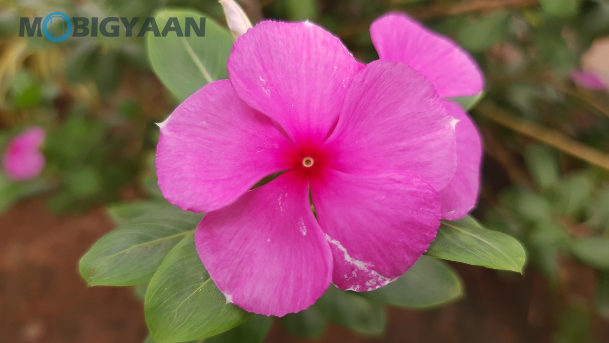 Motorola One Vision Review 15 One Vision Camera Sample 8