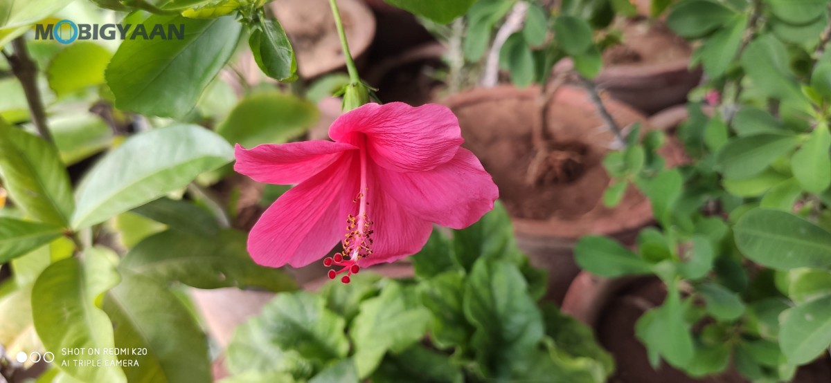 Redmi K20 Camera Sample 11 1