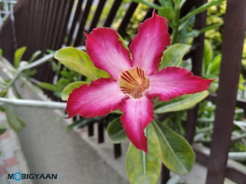 Xiaomi Redmi 7A Hands on And First Impressions Review Camera Samples 3