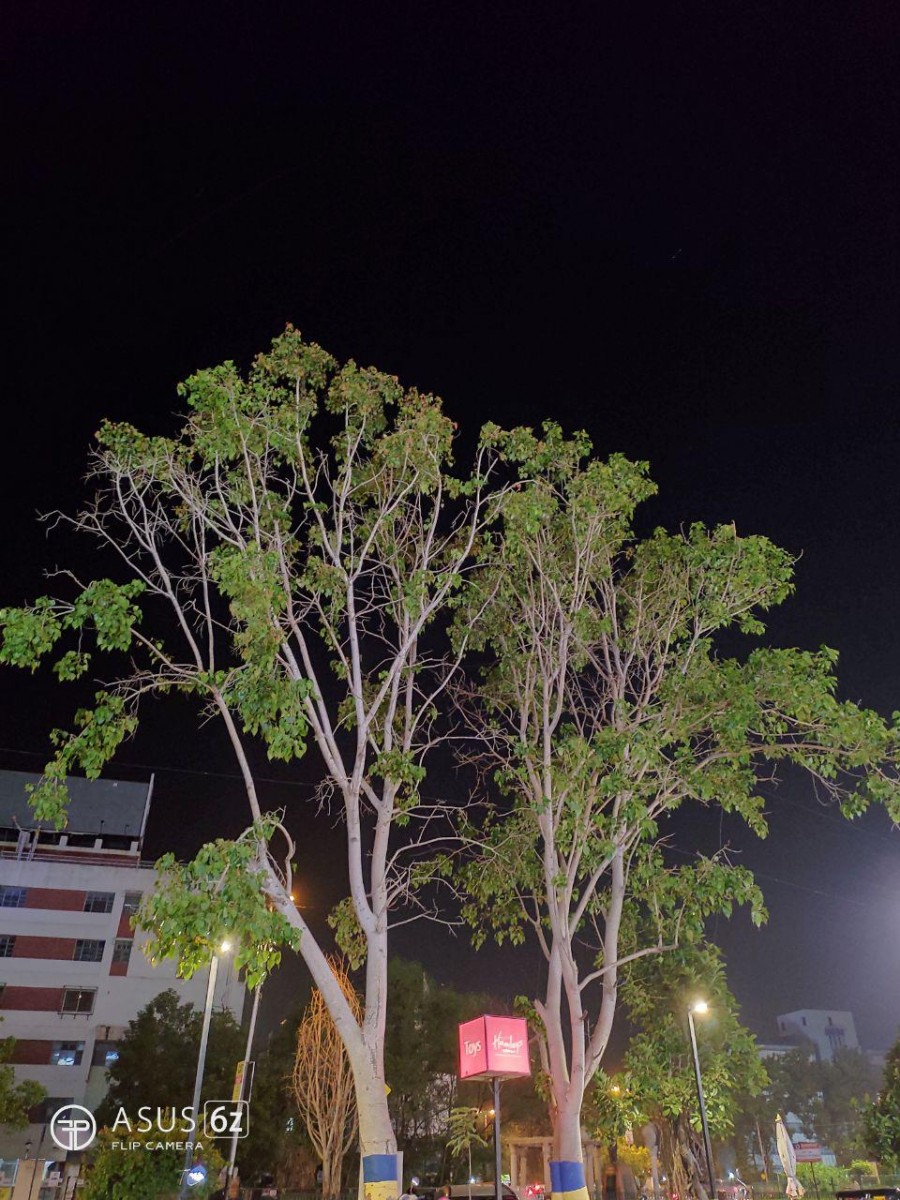 ASUS 6z Camera Samples 12