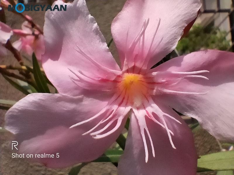 realme 5 Review Camera Samples 1