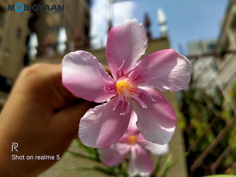 realme 5 Review Camera Samples 4