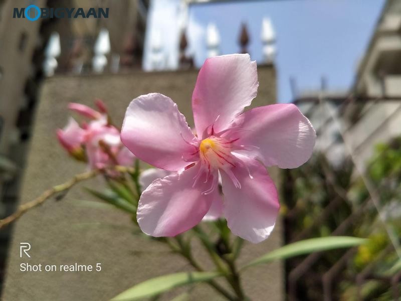 realme 5 Review Camera Samples 5