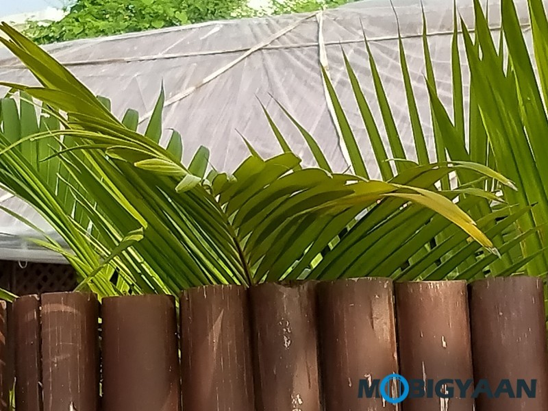 OPPO A5 2020 Review 29 OPPO A5 2020 Camera Samples 12