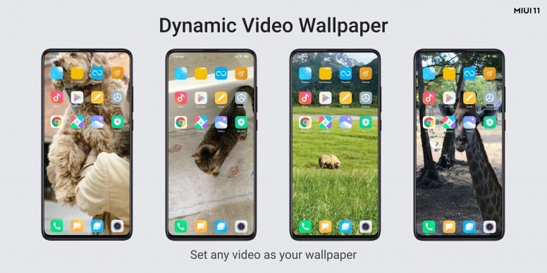 MIUI 11 Dynamic Video Wallpaper