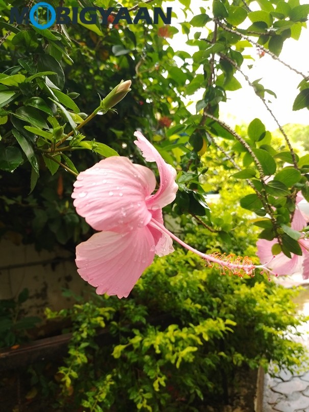 Redmi 8A Camera Samples 2