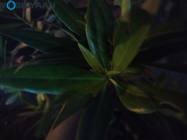 Redmi 8A Camera Samples 5