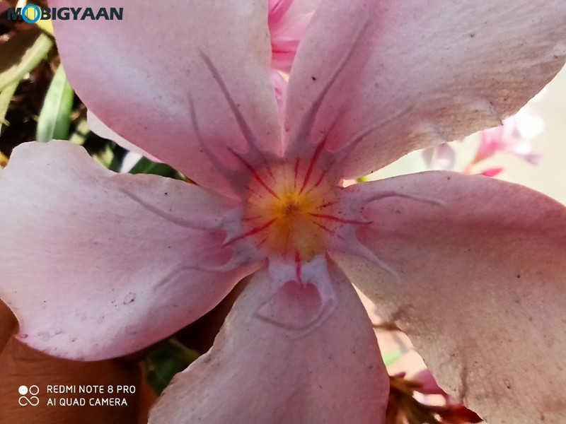 Redmi Note 8 Pro Review 50 Redmi Note 8 Pro Camera Samples 18 1