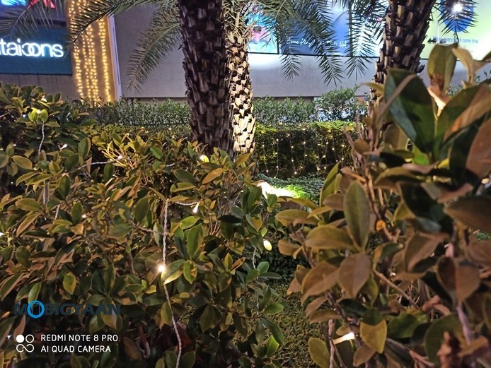 Redmi Note 8 Pro Camera Samples 6