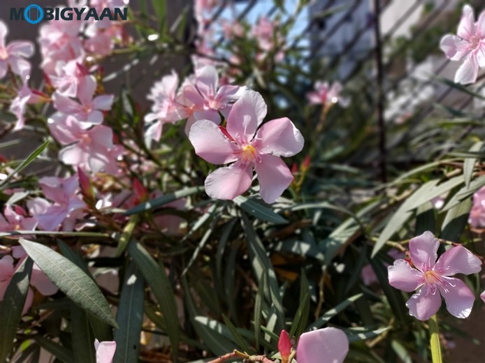 Samsung Galaxy A70s Camera Samples 12