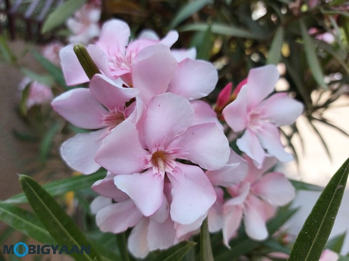 Samsung Galaxy A70s Camera Samples 17