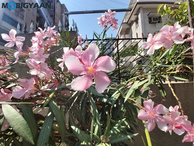 Samsung Galaxy A70s Camera Samples 9