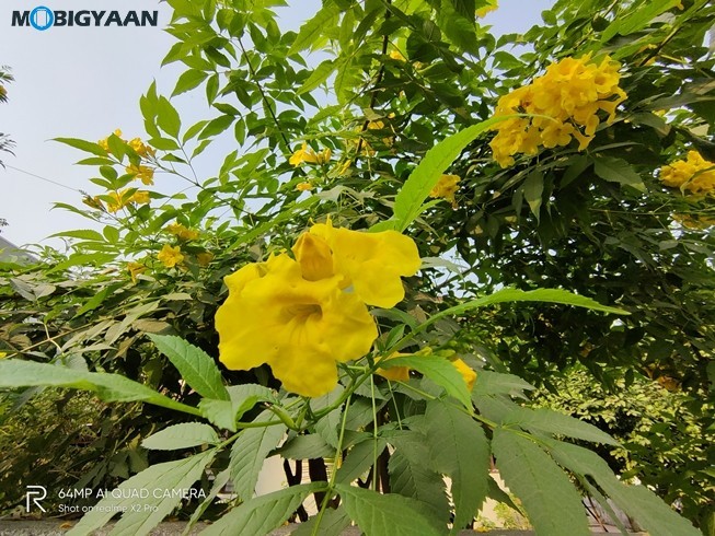 Realme X2 Pro Camera Samples 28