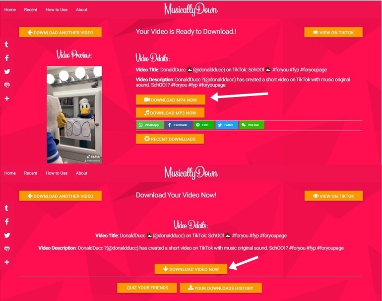 how to download videos from tiktok on pc how to download videos from tiktok on pc