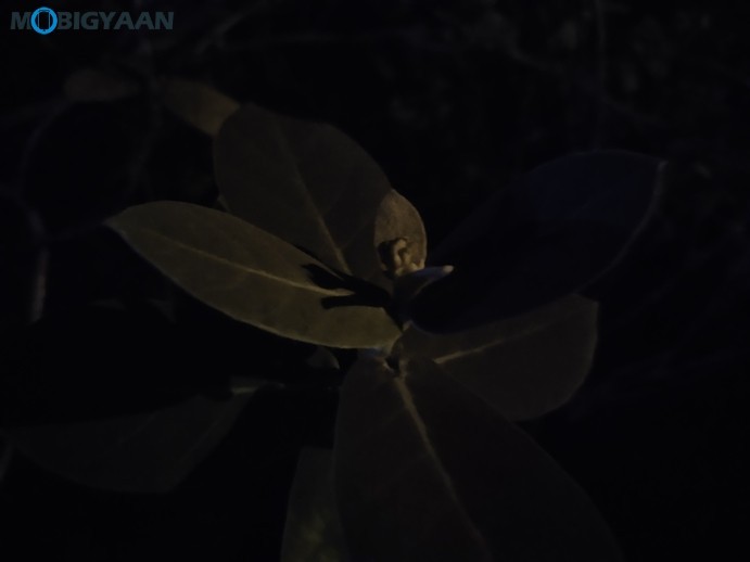 vivo U20 Review - A Complete Package in Its Segment 37 Vivo U20 Camera Samples 1