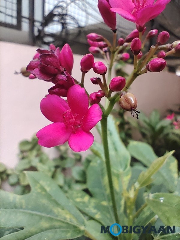 vivo U20 Review - A Complete Package in Its Segment 28 Vivo U20 Camera Samples 11