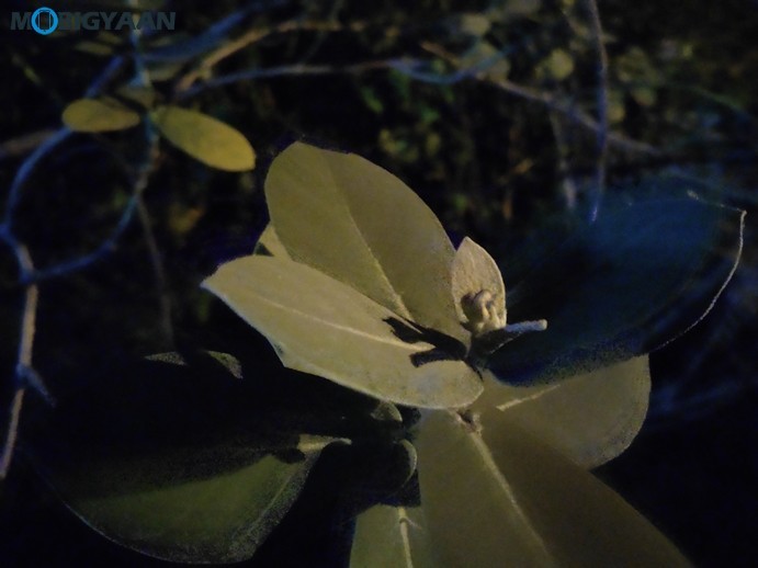 vivo U20 Review - A Complete Package in Its Segment 38 Vivo U20 Camera Samples 2