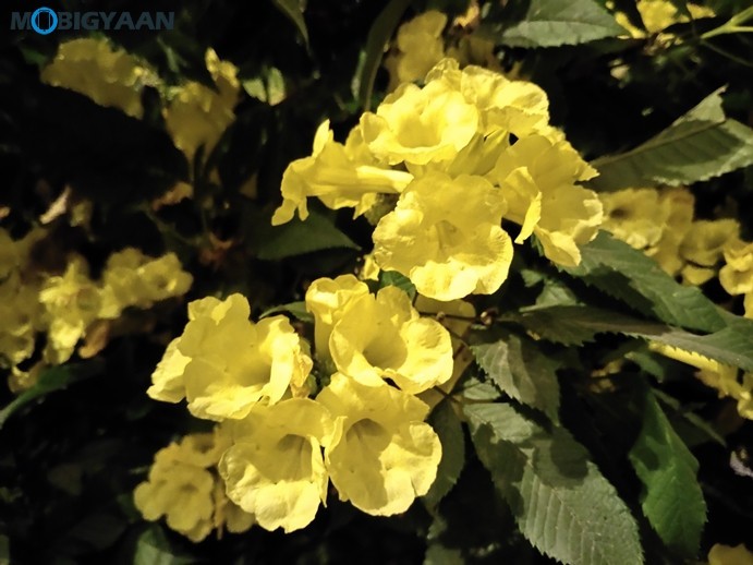 vivo U20 Review - A Complete Package in Its Segment 42 Vivo U20 Camera Samples 3