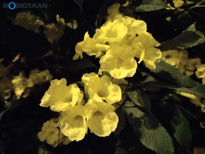 vivo U20 Review - A Complete Package in Its Segment 41 Vivo U20 Camera Samples 4