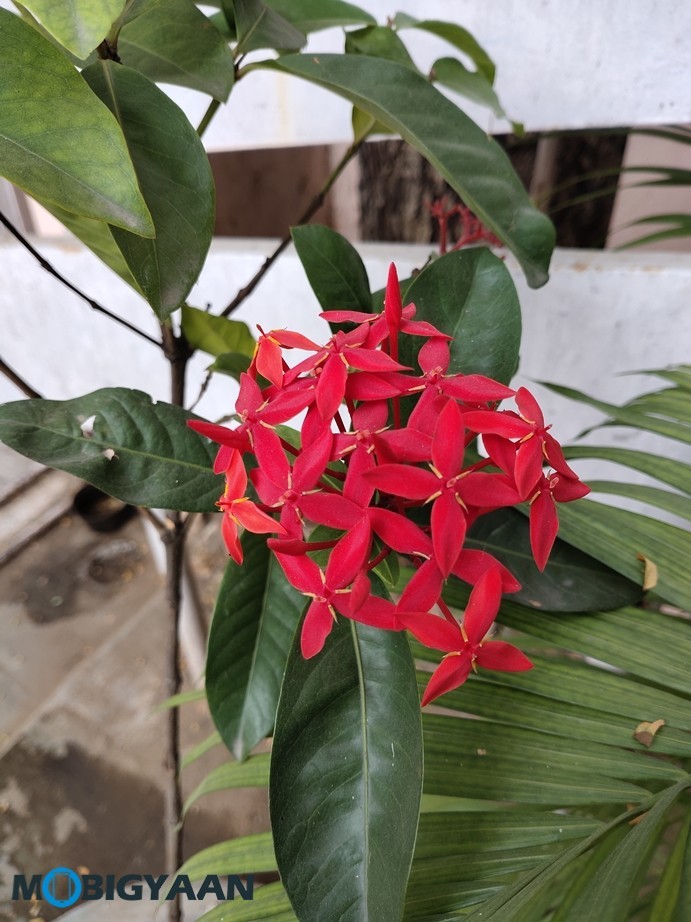 vivo U20 Review - A Complete Package in Its Segment 25 Vivo U20 Camera Samples 7