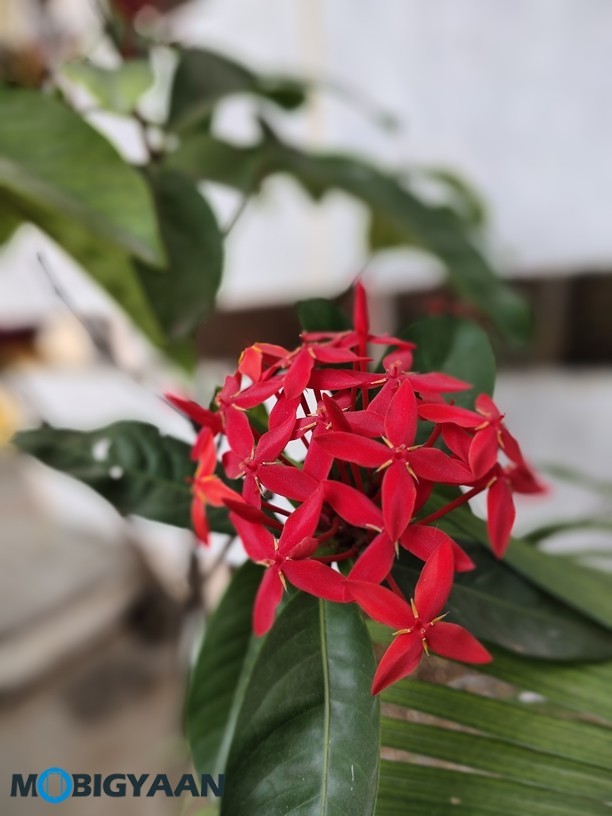 vivo U20 Review - A Complete Package in Its Segment 26 Vivo U20 Camera Samples 8