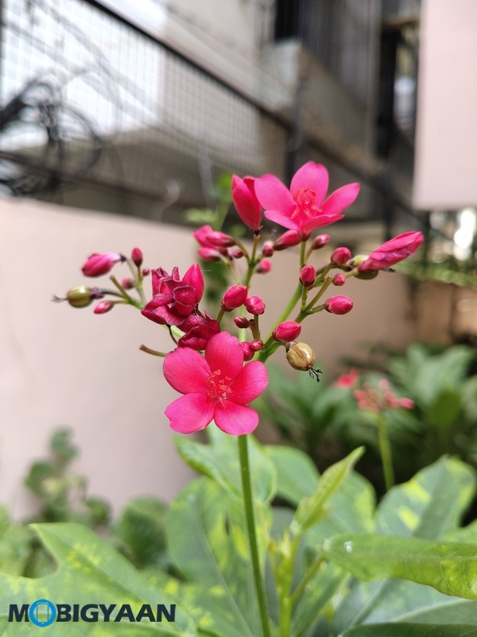 vivo U20 Review - A Complete Package in Its Segment 27 Vivo U20 Camera Samples 9