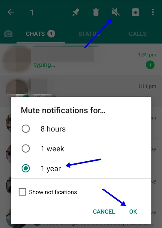 Mute Notifications