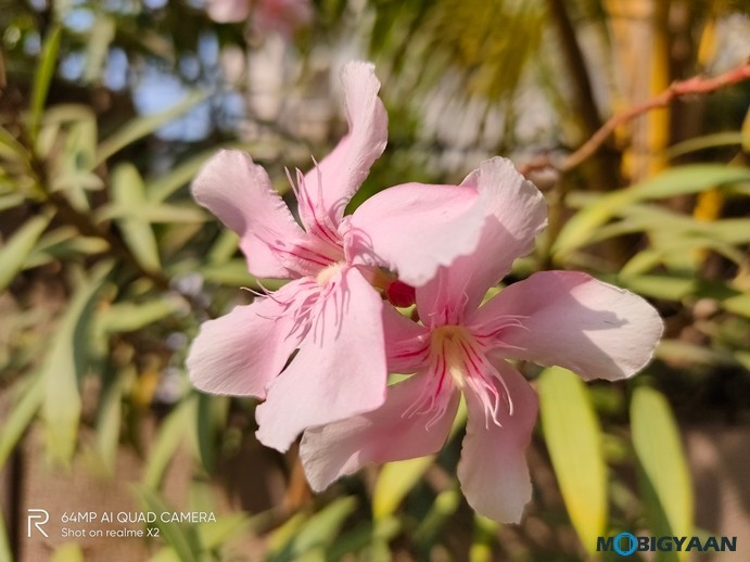 Realme X2 Camera Samples 21