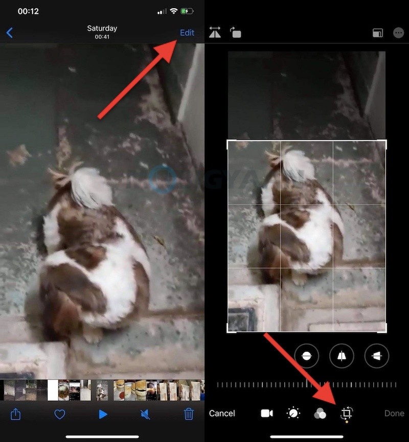 How To Crop Videos on iPhone Without Using Third Party Apps 1