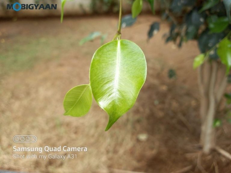 galaxy a31 camera review