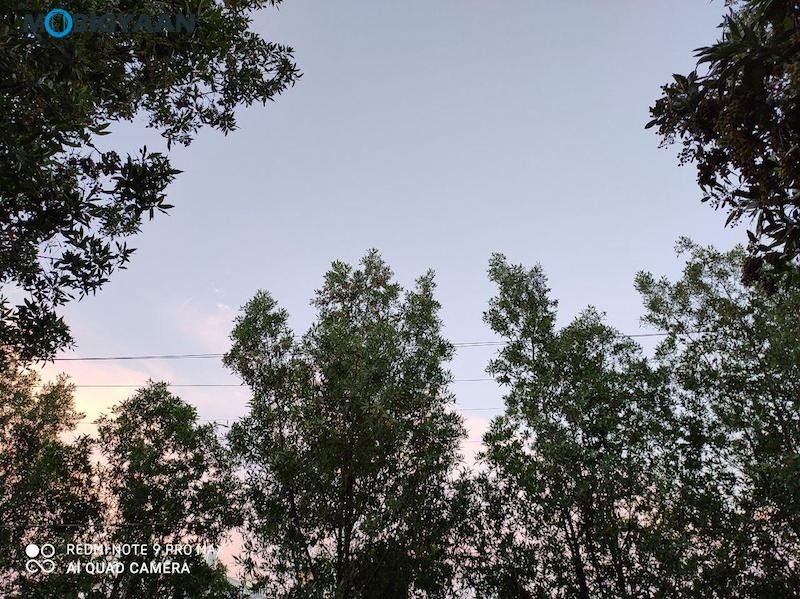 Xiaomi Redmi Note 9 Pro Max Camera Samples 10