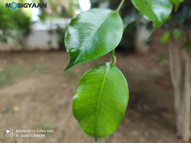 Xiaomi Redmi Note 9 Pro Max Camera Samples 9