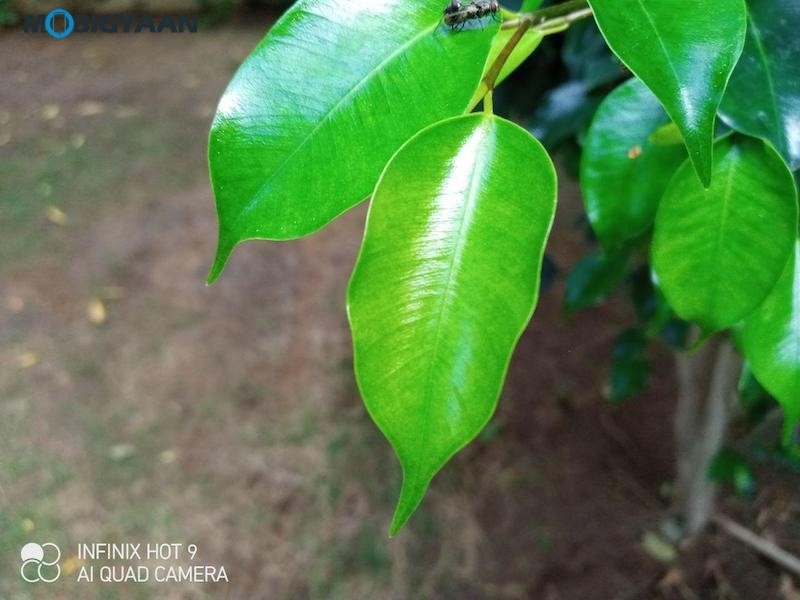 Infinix Hot 9 Pro Review Camera Samples 1