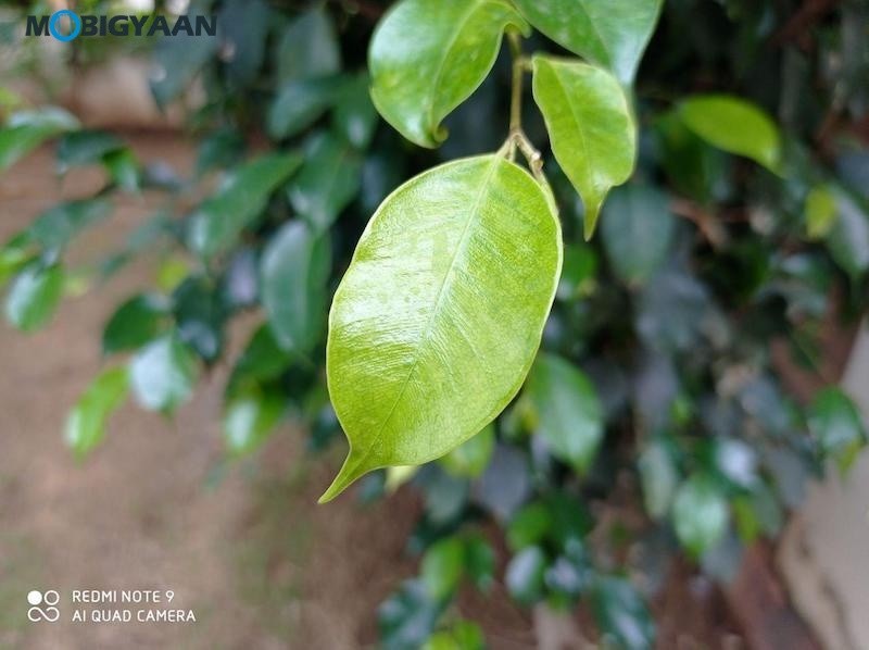 Redmi Note 9 Review Camera Samples 8