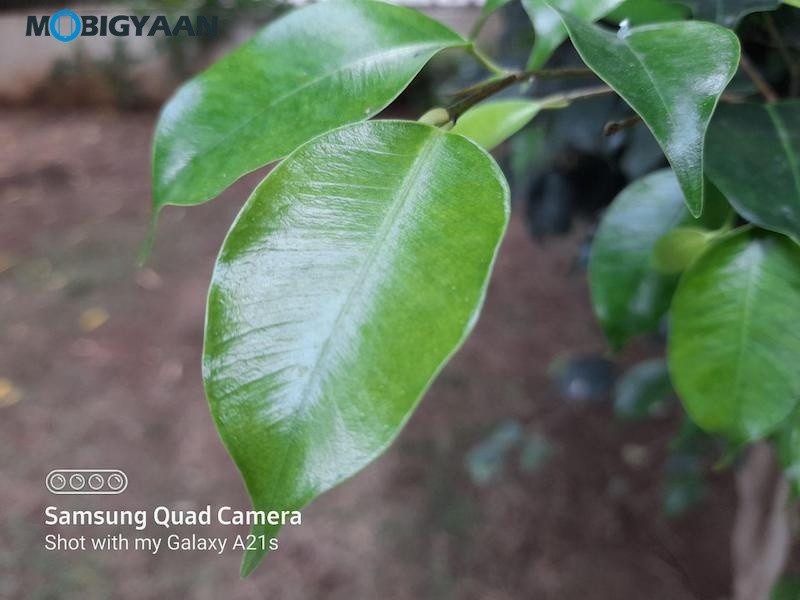 Samsung Galaxy A21s Review Camera Samples 12