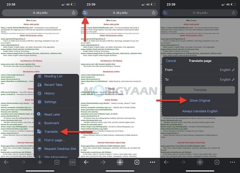 How To Translate Webpages On iPhone And iPad
