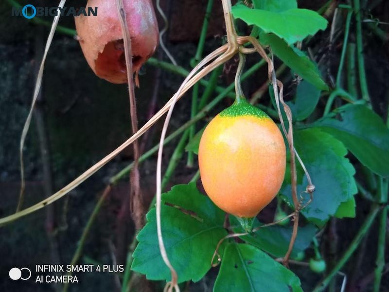 Infinix Smart 4 Plus Review Camera Samples 2