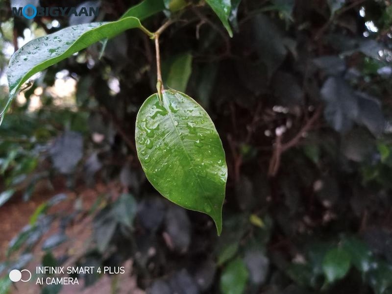 Infinix Smart 4 Plus Review Camera Samples 7