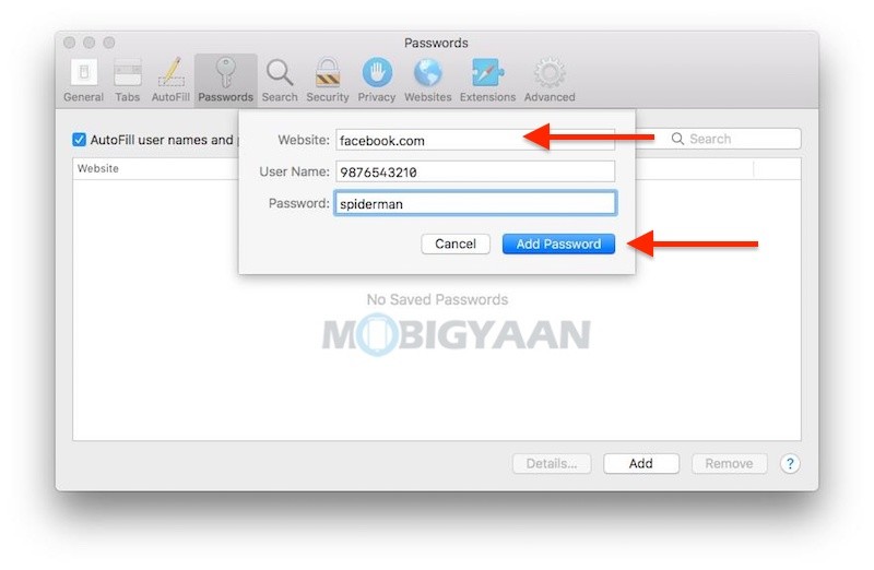 How to manually add passwords into Safari for auto login Mac 2