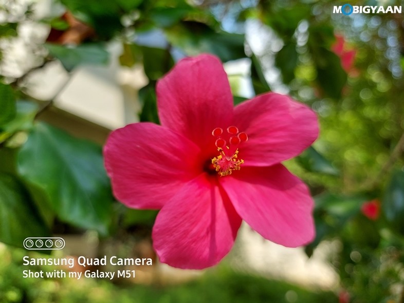 Samsung Galaxy M51 Camera Samples 13