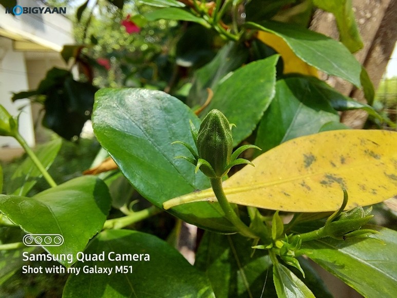 Samsung Galaxy M51 Camera Samples 16