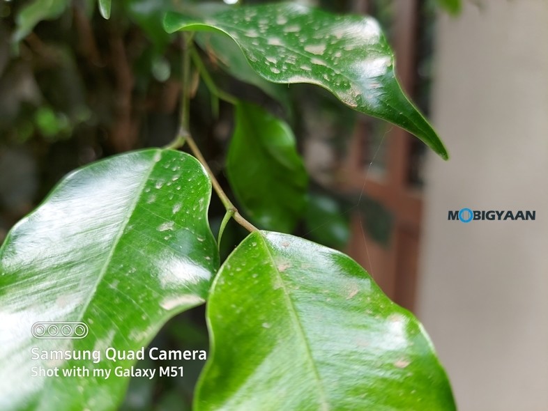 Samsung Galaxy M51 Camera Samples 4