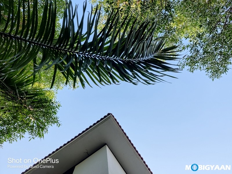 OnePlus 8T Camera Samples 17