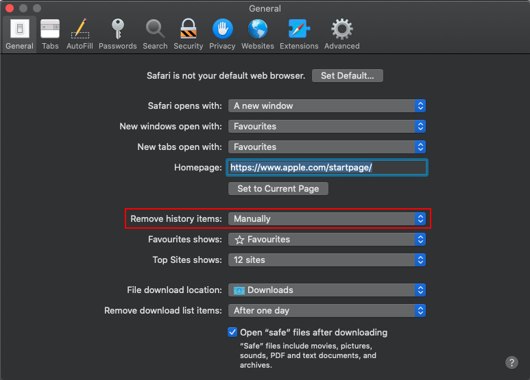 Safari Browsing History Clear 1
