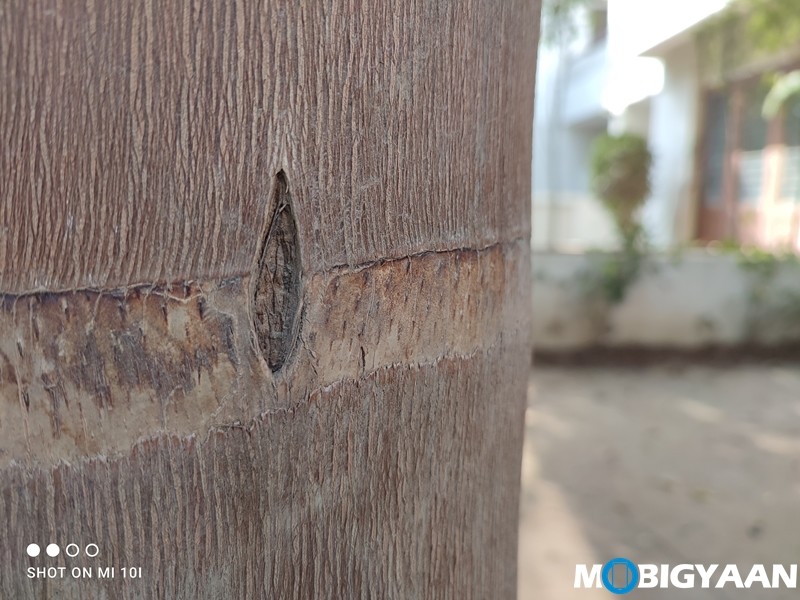 Xiaomi-Mi10i-Camera-Samples-13 