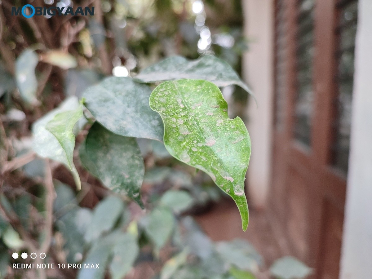 Xiaomi Redmi Note 10 Pro Review Camera Samples 108MP 2