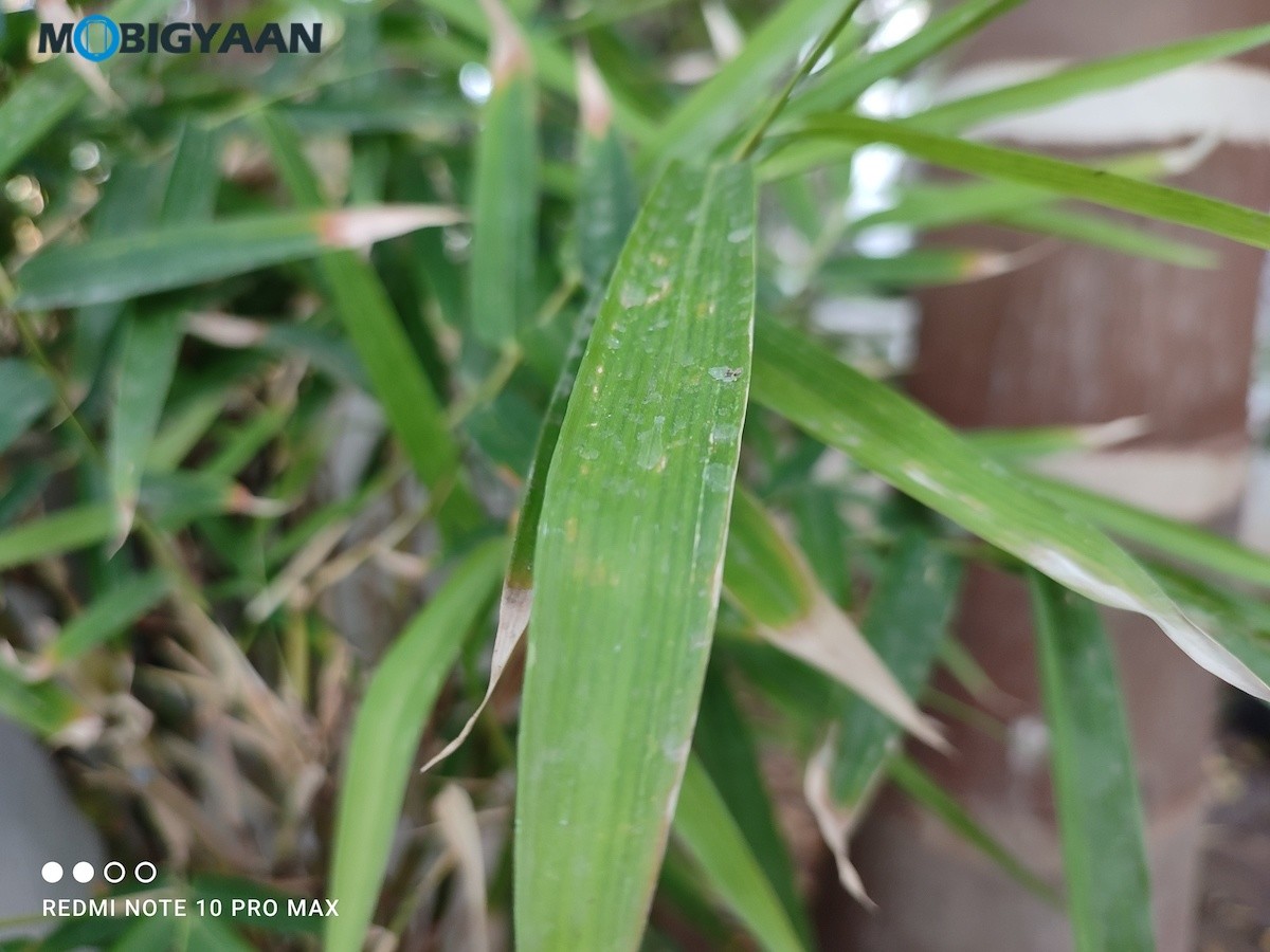 Xiaomi Redmi Note 10 Pro Review Camera Samples 108MP 5