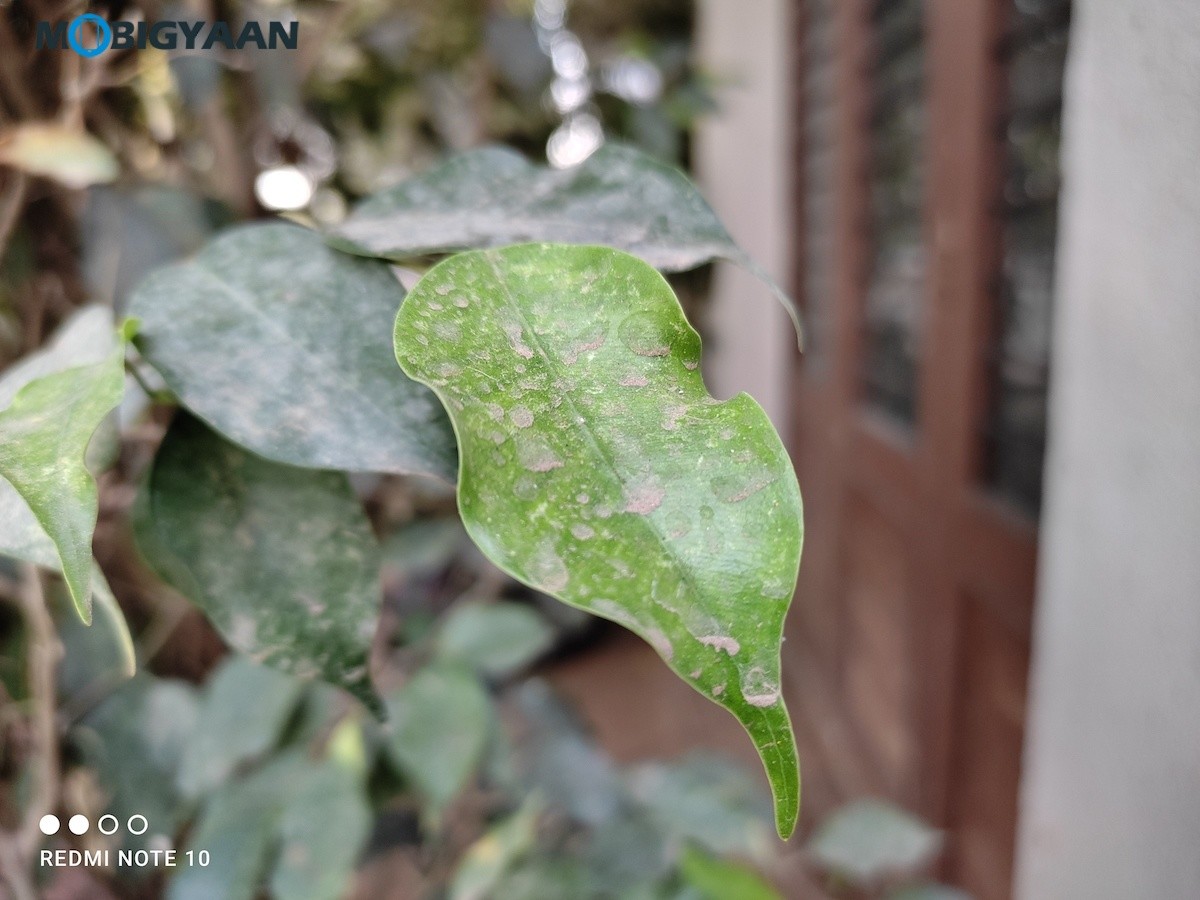 Xiaomi Redmi Note 10 Review Camera Samples 48MP 2