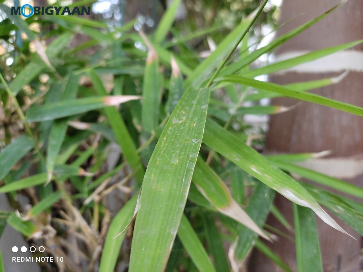 Xiaomi Redmi Note 10 Review Camera Samples 48MP 5